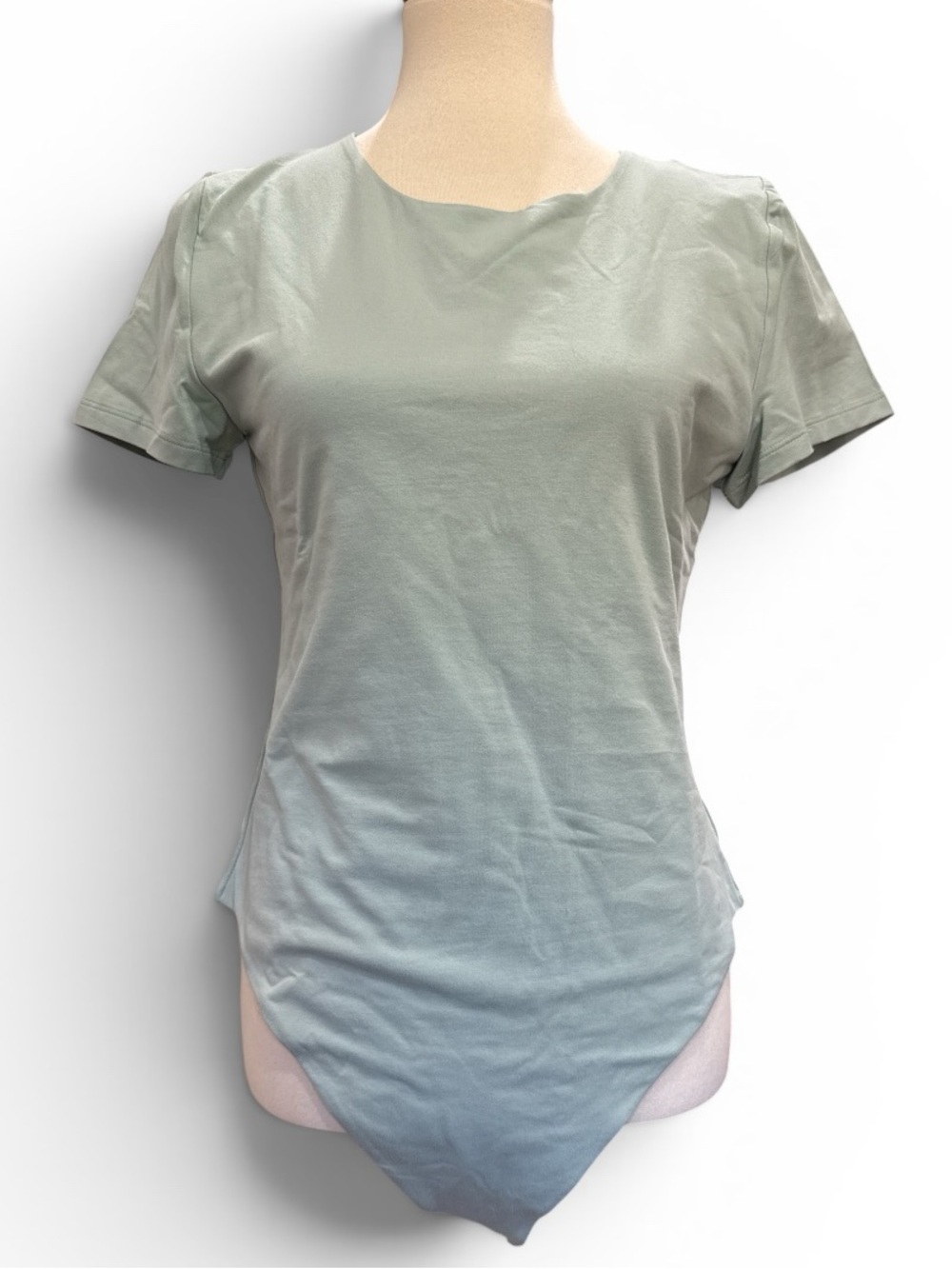 Aritzia Short Sleeve Tee Bodysuit #480